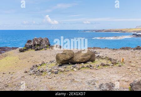 Ein verwitterter gestürzten Moai, der auf dem Boden in einem liegt Ring aus Steinen und Felsen bei Ahu Akahanga auf dem südküste der Osterinsel (Rapa Nui) Chile Stockfoto