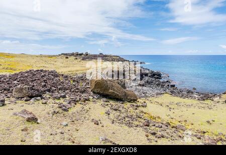 Gefallener gestürzter Moai (Statuen), der bei Ahu Akahanga auf der felsigen, zerklüfteten Südküste der Osterinsel (Rapa Nui), Chile, mit dem Gesicht nach unten liegt Stockfoto