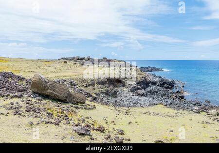 Gefallener gestürzter Moai (Statuen), der bei Ahu Akahanga auf der felsigen, zerklüfteten Südküste der Osterinsel (Rapa Nui), Chile, mit dem Gesicht nach unten liegt Stockfoto