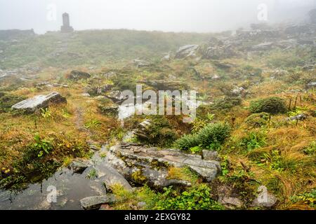 Wasserbach und Felsen mit Herbstfarben auf Cangshan Berg Am regnerischen Wettertag in Dali Yunnan China Stockfoto