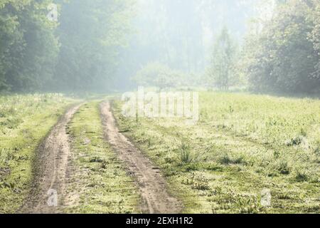 Leere Landstraße über grüne Wiese im Frühjahr früh am Morgen haze Schönheit Landschaft Stockfoto