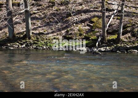 Little Miami River im Frühjahr in der Nähe der gelben Quellen ohio Stockfoto