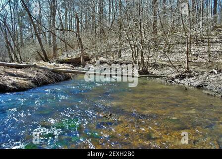 Little Miami River im Frühjahr in der Nähe der gelben Quellen ohio Stockfoto