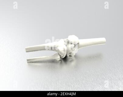 Modell menschlicher Knochen auf metallischem Hintergrund, Knie, 3D Render Stockfoto