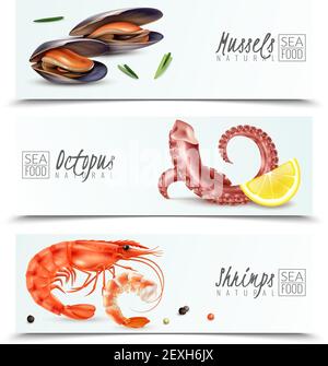 Sustainable Seafood Choice 3 realistische horizontale Banner mit Muscheln Garnelen octopus Vorspeise Cocktail Zutaten isoliert Vektor Illustration Stock Vektor