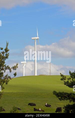 Windpark mit Turbinen, die elektrische Energie für grünen Strom erzeugen Stockfoto