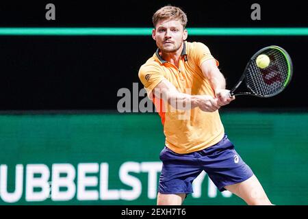 ROTTERDAM, NIEDERLANDE - MÄRZ 4: David Goffin aus Belgien während seines Spiels gegen Jeremy Chardy aus Frankreich beim ABN AMRO World Tennis Tournamen 48th Stockfoto