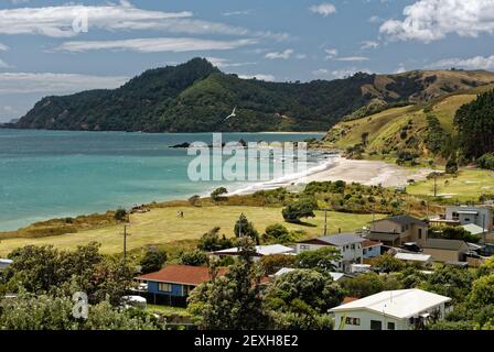 Kuaotunu auf der Coromandel-Halbinsel auf der Nordinsel Neuseelands Stockfoto