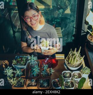 Toothy lächelndes Gesicht der asiatischen Frau hält Topf der Sukkulente Zu Hause Terrasse Stockfoto