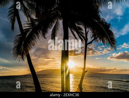 Sonnenuntergang über Lanai mit Palm Tree Silhouette, über Lahaina Bay, Maui, Hawaii, USA Stockfoto