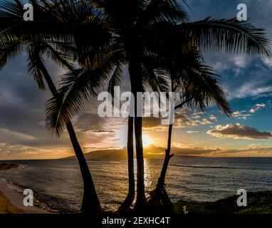 Sonnenuntergang über Lanai mit Palm Tree Silhouette, über Lahaina Bay, Maui, Hawaii, USA Stockfoto