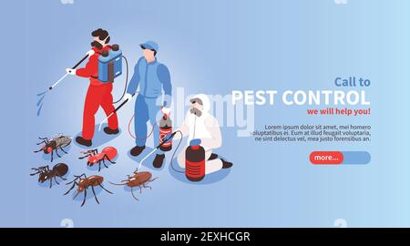 Schädlingsbekämpfung Haus Hygiene Desinfektion Service isometrische Website Banner mit Professionelle Team Ausrottung Insekten Hintergrund Vektor Illustration Stock Vektor