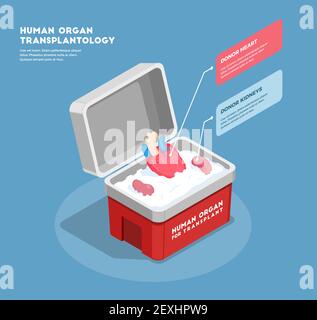 Menschliche Organe isometrische Zusammensetzung mit Spender Herz und Nieren in Medizinische Behälter 3D Vektorgrafik Stock Vektor