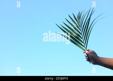 Silhouette der Hand hält Palmblatt auf hellem Himmel blauen Hintergrund mit Kopierraum. Palmsonntag-Feier. Stockfoto