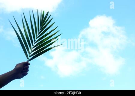 Silhouette der Hand hält Palmblatt auf hellem Himmel blauen Hintergrund mit Kopierraum. Palmsonntag-Feier. Stockfoto