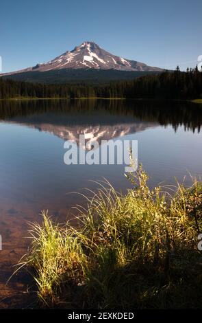 Ruhe klaren Wasser Trillium Lake Mount Hood Oregon State Stockfoto