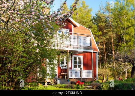 Rotes Holzhaus in Schweden Stockfoto