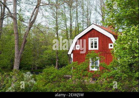 Rotes Holzhaus in Schweden Stockfoto