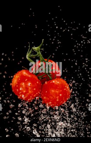 Ein Bündel von drei reifen roten Tomaten in Spritzern Wasser auf schwarzem Hintergrund. Hochwertige Fotos Stockfoto