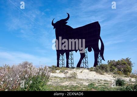 Ein Blick auf den Osborne Bull auf einem Hügel in Almayate, Spanien unter einem wispy Himmel Stockfoto