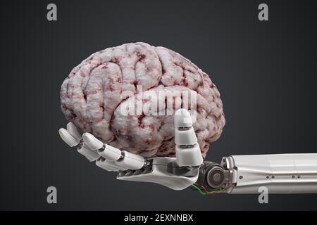 Konzept der künstlichen Intelligenz. Roboterhand hält das menschliche Gehirn. 3D gerenderte Abbildung. Stockfoto