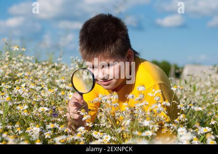 Junge sieht Blumen durch Vergrößerungsglas Stockfoto