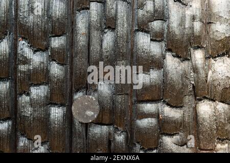 Gebranntes Holz Fencepost Rusty Nail Verkohltes Holz Stockfoto