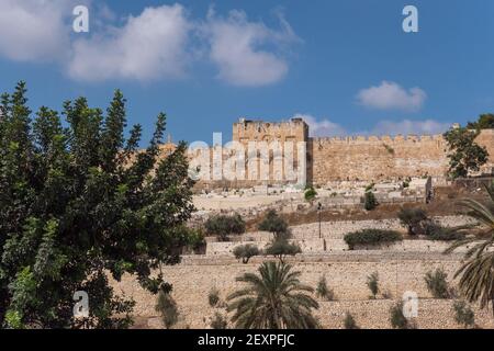 Blick auf das Goldene Tor oder Tor der Barmherzigkeit auf der Ostseite des Tempelbergs der Altstadt von Jerusalem, Israel Stockfoto