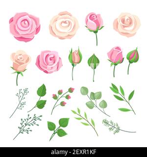 Rosenelemente. Rosa und weiße Rosen blühen mit grünen Blättern und Knospen. Romantische Hochzeitsdekor mit Wasserfarben und Blumenmuster. Isolierter Vektorsatz Stock Vektor