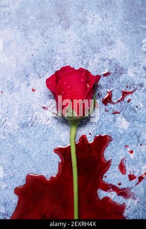 Rote Rosen und Blut auf einem blauen texturierten Hintergrund mit Platz für Text und Text Stockfoto