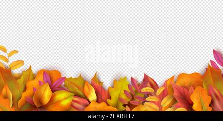 Herbstbanner. Herbst verlässt den Hintergrund. Realistische Vektor Herbst Blätter isoliert auf transparentem Hintergrund. Rot gelbes Laub. Abbildung Herbstblatt orange und gelb Nahaufnahme, trockenes Laub Stock Vektor