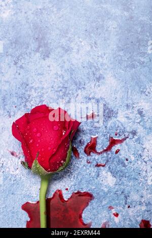 Rote Rosen und Blut auf einem blauen texturierten Hintergrund mit Platz für Text und Text Stockfoto
