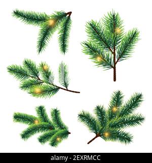 Tannenbaum Zweige mit Lichtern Vektor isoliert auf weißem Hintergrund. Zweig Baum zu weihnachten, Licht Tannengrüße und festliche Illustration Stock Vektor