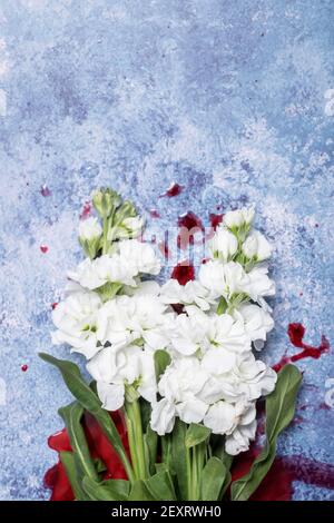 Rote Rosen und Blut auf einem blauen texturierten Hintergrund mit Platz für Text und Text Stockfoto