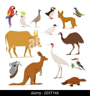 Große Reihe von Vögeln und Tieren von Australien Stock Vektor