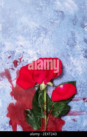 Rote Rose und Blut auf einem strukturierten Hintergrund mit Platz für Text und Text Stockfoto