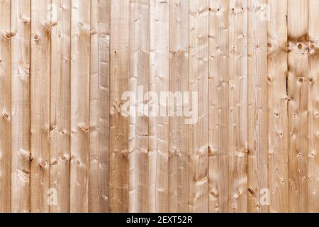 Neue unfarbige Holzwand aus vertikalen Kiefernholzplanken, Hintergrund Foto Textur Stockfoto