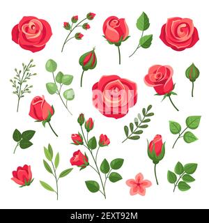 Rote Rosen. Burgunder Rose Blumensträuße mit grünen Blättern und Knospen. Romantische Einrichtung in Wasserfarben mit Blumenmuster. Isolierter Zeichentrickvektor. Rosa und rot blühende Rose, Zweig florale Blüte Illustration Stock Vektor