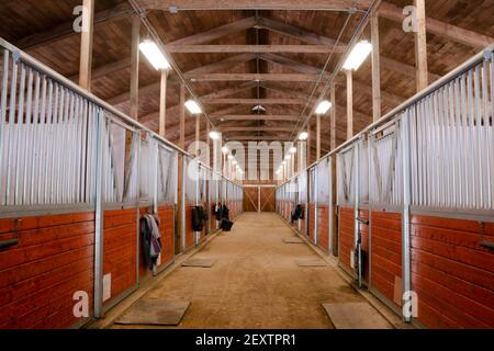 Scheune Tiere Sport Koppel Pferdesport Pferderanch Racing Stall Stockfoto