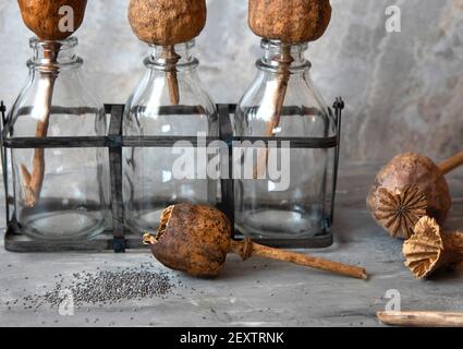 Hausgemachte Mohnköpfe, offener Kopf und verschüttete Mohnsamen. Speicherplatz kopieren Stockfoto