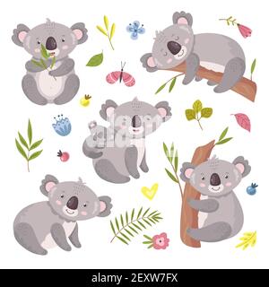 Koala-Bär. Australien Tier, Baby umarmt Mutter. Isolierte Koalas auf Baum, Blumen und Naturelementen. Vektor exotische kuschelige Zeichen gesetzt. Illustration Koala australien, Wildtiere Säugetiere klettern zu Baum Stock Vektor