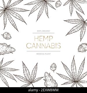 Cannabis Skizze Hintergrund. Medizinisches Marihuana Blätter und Samen Konzept für cbd Öl Banner. Handgezeichnetes Ganja-Vektor-Poster. Illustration Cannabis Poster, natürliches Unkraut für Medizin Stock Vektor