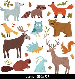 Waldtiere. Wolf, Waschbär und Fuchs, Bär und Eule, Hirsch, Eichhörnchen und Igel, hasen und Biber, Elch. Wildlife Vector isolierter Satz. Illustration wild Sammlung Charaktere, Wolf und Bär Stock Vektor