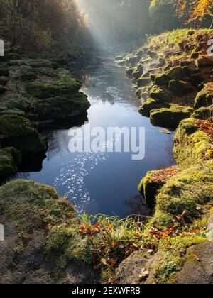 Das trübe Morgenlicht hebt den langsamen Abfluss des Strid hervor, einer Wasserstrecke entlang des Flusses Wharfe, die für ihre gefährlichen Strömungen bekannt ist. Stockfoto