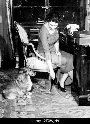 Aktenfoto vom 25/01/59 von Königin Elizabeth II. An ihrem Schreibtisch im Buckingham Palace mit ihrem Corgi Susan. Die Königin hat zwei neue Corgi Welpen, nachdem sie als Geschenk während des Lockdown gegeben. Ausgabedatum: Freitag, 5. März 2021. Stockfoto