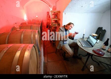 Radebeul, Deutschland. Februar 2021, 10th. Karl Friedrich Aust, Winzer, sitzt vor einem Laptop in seinem Weinkeller und untersucht den Rotwein. Quelle: Sebastian Kahnert/dpa-Zentralbild/ZB/dpa/Alamy Live News Stockfoto