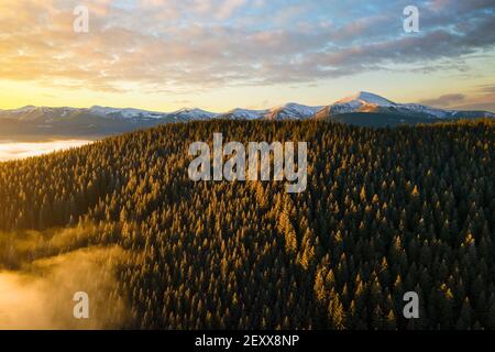 Luftaufnahme des lebhaften Sonnenaufgangs über Karpaten Berghügeln mit immergrünen Fichtenwald im Herbst bedeckt. Stockfoto