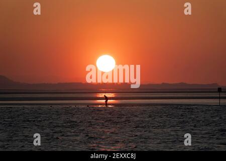 Eingesandtes Bild von Jon Super (07974 356-333) West Kirby Marine Lake Sunset, Wirral, Großbritannien 1. März 2021. (Foto von Jon Super) (Foto/Jon Super 0 Stockfoto