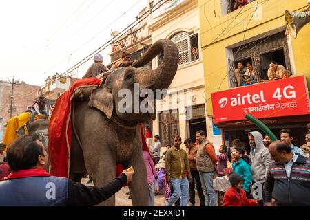 indische Priester sitzen auf Elefanten und reiten während der kumbh mela in Haridawar.kumbh ist die größte Gemeinde auf der Erde. Stockfoto