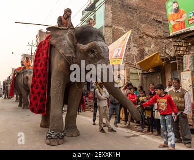 indische Priester sitzen auf Elefanten und reiten während der kumbh mela in Haridawar.kumbh ist die größte Gemeinde auf der Erde. Stockfoto